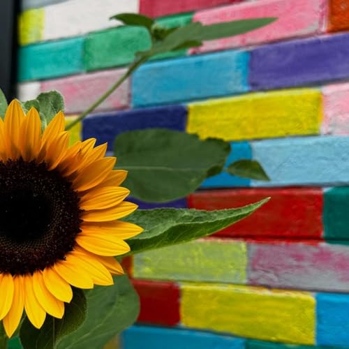 The Bible in a Year (with Fr. Mike Schmitz) ; According to House Of Marys Eve Titelbild