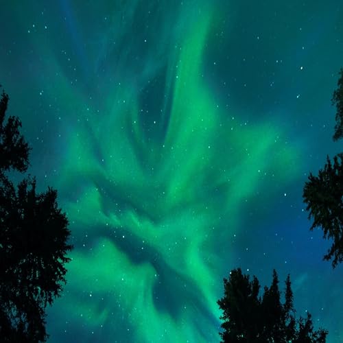 Starry Nights and Heartfelt Fights: Nature's Tales Podcast By  cover art