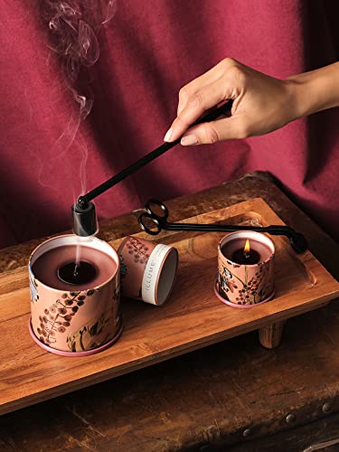 ILLUME Essentials Beautifully Done Candle Snuffer, Black Accessory
