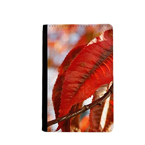 Porte-passeport feuille d'érable rouge en cuir pour voyageur