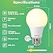 DEGNJU A19 LED Light Bulbs, 60 Watt Equivalent LED Bulbs, Soft White 2700K, 800 Lumens, E26 Standard Base, Non-Dimmable, 8W Warm White LED Bulbs for Bedroom Living Room, 3 Pack