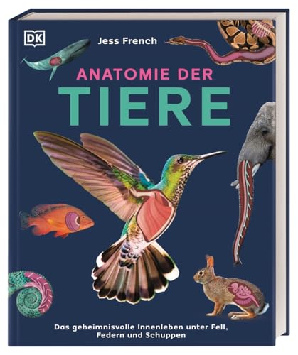 Anatomie der Tiere: Das geheimnisvolle Innenleben unter Fell, Federn und Schuppen. Tieranatomie großartig visuell aufbereitet. Für Kinder ab 7 Jahren