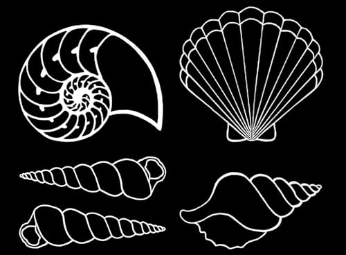 Seashells Shells 25 pcs 1 Inch White Fused Glass Decals