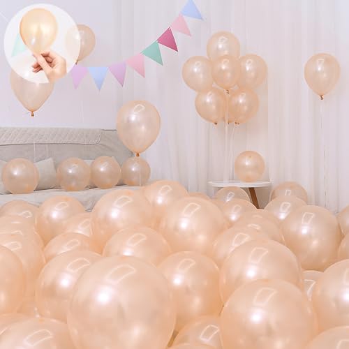 Sekat D o[ Bronze 5C` 50 S Ɍ ەD  ebNXo[  a  X܊JXj p[eB[ ^  o[A[g ~bNX