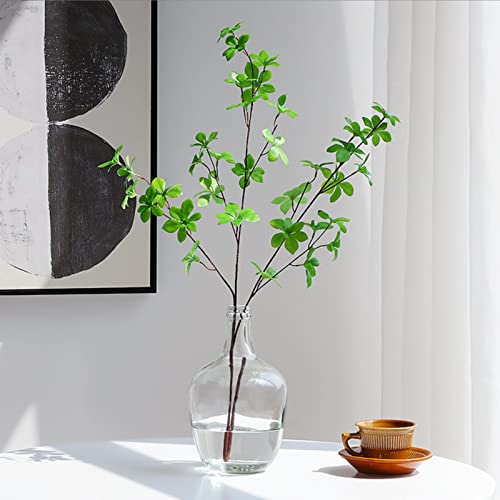 Clear Glass Vase for Decor, Big Belly Bubble Flower Bottle for Home Countertop, Shelf, Centerpiece and Shelf Decoration(6.3x6.3x10 In) - Image 4