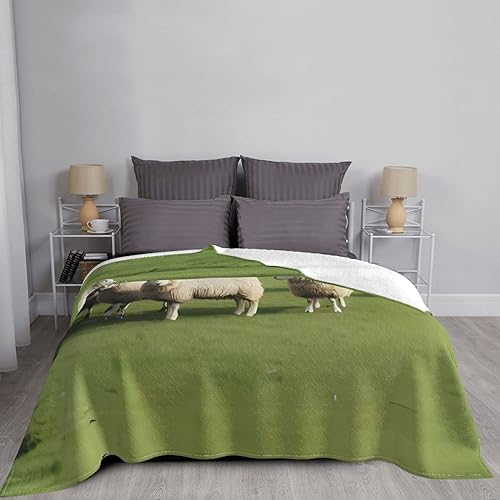 Couverture canapé mouton ultra douce, idée cadeau cocooning - 7