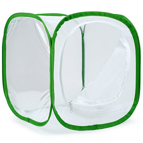Image of RESTCLOUD Insect and Butterfly Habitat Cage Terrarium Pop-up 12 X 12 X 12 Inches
