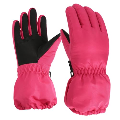 XL[O[u LbY q ~ Xm[O[u j̎q ̎q  N g  h h ~ ϖ XL[ n Vv IV ~ ̎q j̎q WjA qp ʊw ʉ AEghA V ](zbg