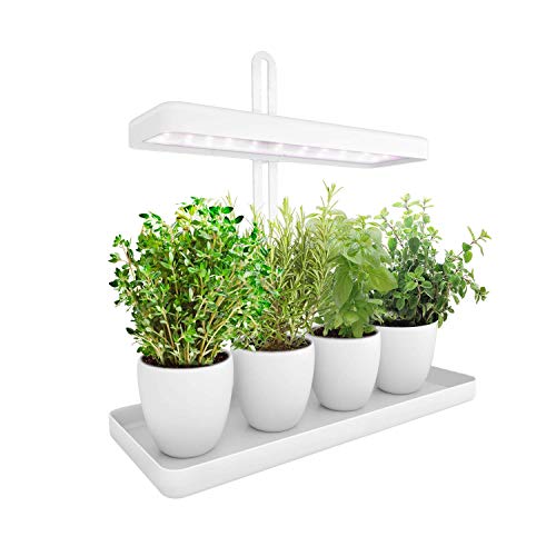 LED Indoor Herb Garden, Height Adjustable GrowLED Plant Grow Indoor Garden Light, LED Germination Kit with Smart Timer, Suitable for Various Plants, White Light