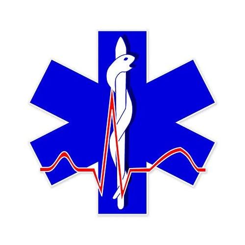 12cm! Klebe-Folie Wetterfest Made-IN-Germany Star Life Paramedic Medic Medical car K304 UV&Waschanlagenfest Auto-Aufkleber Sticker Decal