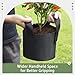 GreatBuddy 1 Gallon Grow Bags 24-Pack, Thick Fabric Pots for Plants, Sturdy Handles & Reinforced Stitching, Labels Included, Black