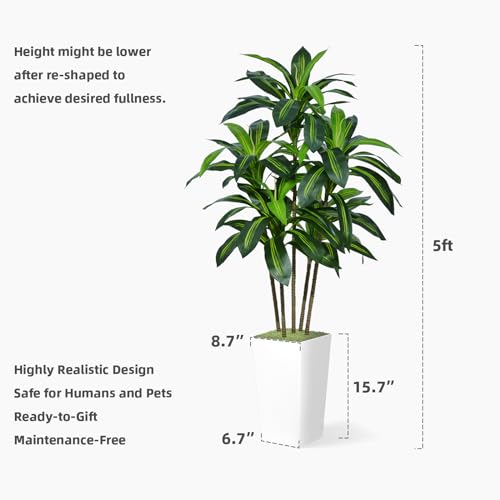 Astidy AD5W Artificial Dracaena Tree 5Ft - Faux Tree With White Tall Planter - Fake Tropical Yucca Floor Plant In Pot - Artificial Silk Tree For Home Office Living Room Decor Indoor thumb #5