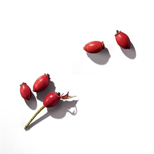 Miniatura 7 de Trilogy Everything Balm, 1.5 onzas líquidas, para todo tipo de piel, bálsamo de belleza multiusos con rosa mosqueta, marula y onagra, fabricado en