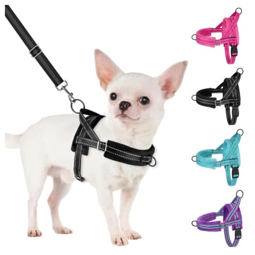 SlowTon No Pull Small Dog Harness and Leash Set, Puppy Soft Vest Harness Neck & Chest Adjustable, Reflective Lightweight Harness & Anti-Twist Pet Lead Combo for Small Medium Dogs (Black, XS)