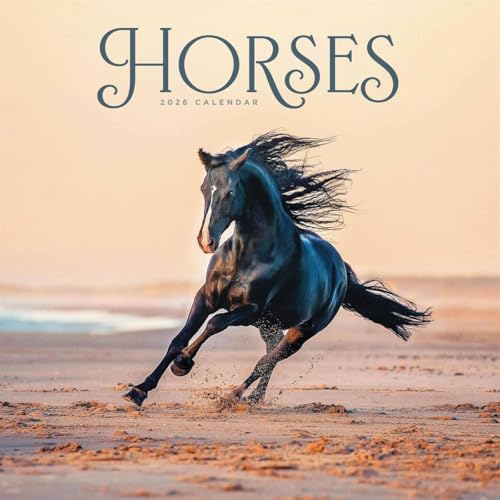 Carousel Worldwide Horses 2026 Wire-o Wall Calendar