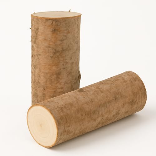 matches21 HOME & HOBBY Kleine Baumstämme Ø 12 x 30 cm - 2 STK. runde Birken-Holz Stämmchen als Natur-Material Holzdeko DIY Bastelmaterial