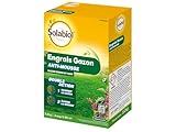 engrais gazon printemps costco FACILE À UTILISER AVEC ÉPANDEUR : Dosage précis de 400 g pour 10 m². Jusqu’à 2 applications par an avec un intervalle minimum de 40 jours.