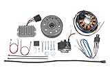  VAPE Zündanlage für MZ ES 175, 250, ETS 250, TS 250, 250/1-12 V