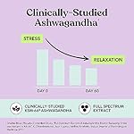 Lemme Chill Stress Relief Gummies with 300mg KSM-66 Ashwagandha, Lemon Balm, Passionflower & Goji to Support Relaxation, Healthy Cortisol & Sleep - Gluten-Free, Non-GMO, Mixed Berry (60 Count) - Image 4