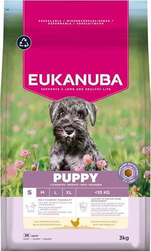 Eukanuba Welpenfutter mit frischem Huhn für kleine Rassen, Premium Trockenfutter für Junior Hunde, 3 kg Eukanuba Welpenfutter mit frischem Huhn für kleine Rassen, Premium Trockenfutter für Junior Hunde, 3 kg