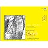 Strathmore 300 Series Sketch Pad, 18x24 inch, 30 Sheets, Side Wire - Artist Sketchbook for Drawing, Illustration, Art Class Students