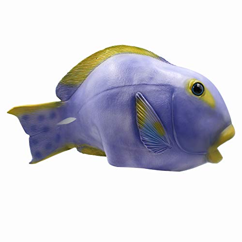 Photo complémentaire