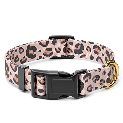Girl Dog Collars The 15 best products compared Wild Explained