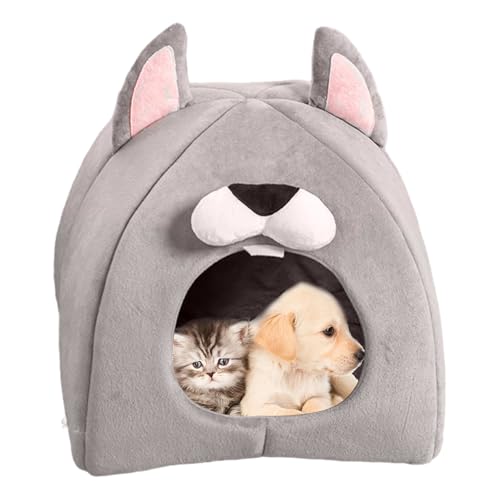 �����t���L�x�b�h�A�����L�p�L�e���g | �L�x�b�h�n�E�X ���킢�����^�L�x�b�h | �����L�n�E�X�A���K�ȔL�̉B��ƁA�L�A���^���A����A�����p�̏_�炩���q�L�x�b�h