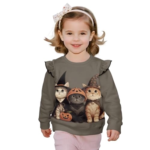 Toddler Girls Ruffle Long Sleeve Shirt Crewneck Long Sleeve Blouse Tops for Fall Winter Sweatshirt 1-8 Ages