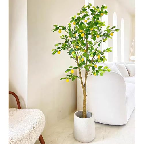 [LJKI] Ύ ̖ tFCNO[ ^ A ϗtA tFCN lHϗA A170cm lHϗt Vv A   bȂ sv  rO ItBX 傫 { JXj Vzj zj