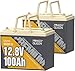Power Queen 2PACK 12V 100Ah Group 24 LiFePO4 Battery, 1280Wh Lithium Battery with 100A BMS,Grade A Battery Cell, Perfect for Trailer RV, Marine, Solar Power System