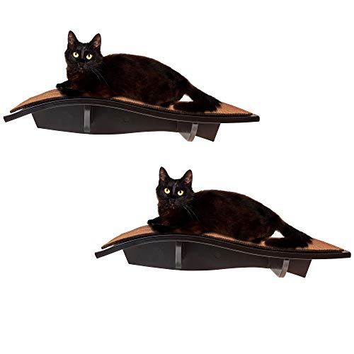 Arf Pets Cat Perch, Wall-Mounted Wooden Shelf For Your Pet, Attractive Curved Wood Ledge Encourages Natural Activity & Fun Exercise For Your Kitty,Sturdy Feline Furniture, Holds Up To 44 Lbs. 2 Pack Arf Pets Cat Perch, Wall-Mounted Wooden Shelf For Your Pet, Attractive Curved Wood Ledge Encourages Natural Activity & Fun Exercise For Your Kitty,Sturdy Feline Furniture, Holds Up To 44 Lbs. 2 Pack