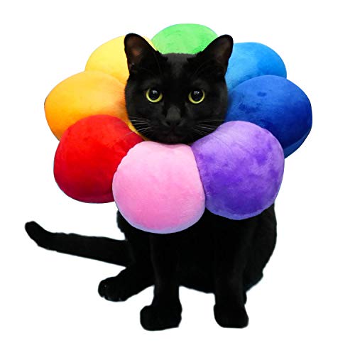 猫 傷口 保護 犬用健康管理用品の人気商品 通販 価格比較 価格 Com 猫 傷口 保護 犬用健康管理用品の人気商品 通販 価格比較 価格 Com