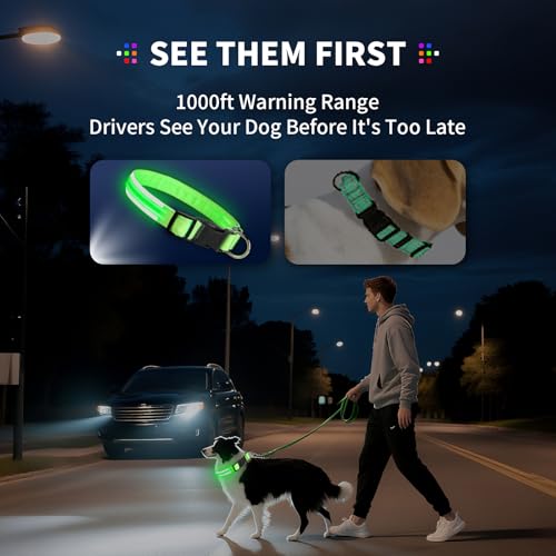PetIsay Dog Light up Collar for Night Walking - High Visibility LED Dog Collar - Rechargeable - Waterproof - Reflective - Adjustable Lighted Glow Collars(White,Medium) by PetIsay - Image 3