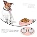 VICASKY Stainless Steel Pet Bowl and Water Feeder Non-Slip Base Easy to Clean Durable Cat and Dog Feeding Dish for Food and Water Suitable for All Pets