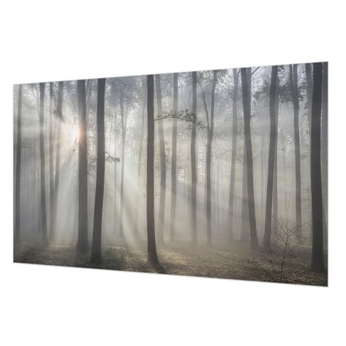 Décor mural intissé forêt éthérée 416x254 cm avec colle incluse