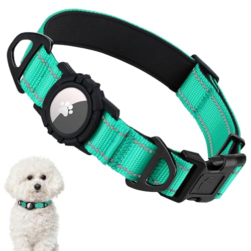 Taglory Reflective AirTag Dog Collar with Waterproof Airtag Holder, Dual D-Rings, Durable Safety Buckle, Adjustable Soft Padded for Small Dogs Night Walking, Outdoor Tracking, Turquoise, S