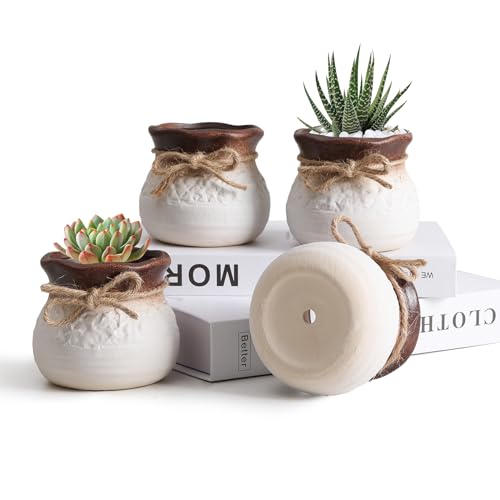 T4U Small Ceramic Pots with Drainage Hole, 3.5 Inch Cute Planters for Indoor Cactus and Succulent Plants, Gift for Women, Mom, Plant Lover, Home Decor