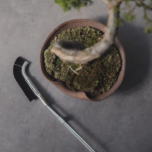 Pincel Curvo para Bonsái Wazakura 23.5 cm Negro miniatura 2