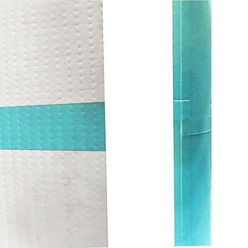 Ez Glam Inflatable 13 Ft Tumbling Gymnastic Air Floor Mat Track Cheerleading For Home Use/Cheerleading/Beach/Park And Water (13Ftx3.3Ftx4In(4X1X0.1M), Llight Green-L) #TOP4