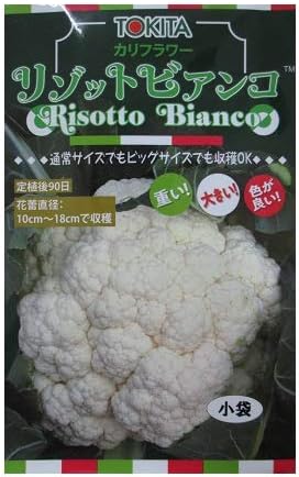 Amazon リゾットビアンコ トキタ種苗のカリフラワー品種 ２０００粒入り 野菜