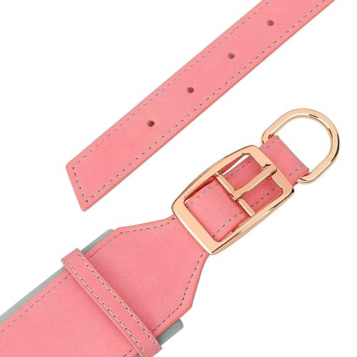 PET ARTIST 5CM Personalisierte PU Leder Hundehalsband für großen Hund. Weiches Dickes Gepolstertes Hundehalsband mit Großem Namen für Rottweiler Mastiff Dogge, rosa XL