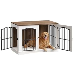 HOOBRO Hundekäfig Möbel, 100cm Hundebox für Zuhause, Moderne Hundebox Indoor mt 3 Türen für mittelgroße Hunde, für Wohnzimmer, Schlafzimmer, Treppenhaus, 100 x 60 x 67,5 cm, Weiß und Walnuss EWH66GW03