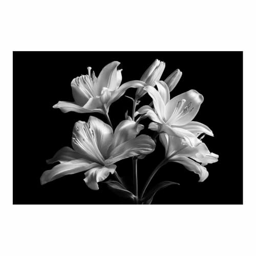 Poster Noir Et Blanc Whites Lilys pour habiller un grand mur vide tableau toile decoration