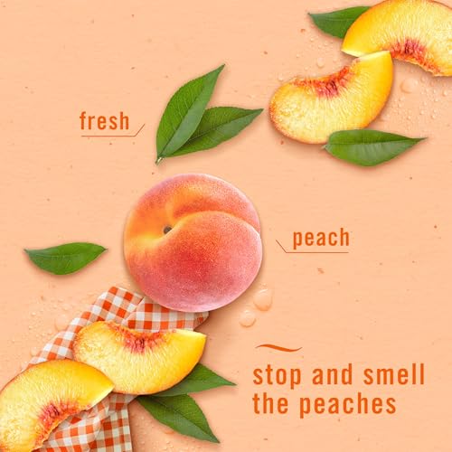 Image of Febreze Bathroom Air Freshener, Odor-Fighting, Plug In Alternative, Air Fresheners for Small Spaces in Home, Bathroom, Kitchen, & Closet, Lilac & Peach Scents, 4ct (2 of Each Scent)