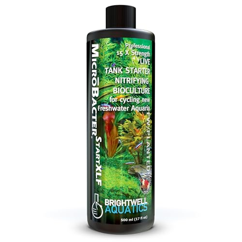 Brightwell Aquatics MicroBacter Start XLF - Concentrated Freshwater Nitrifying Bacteria - Quick Start Fish Tank Starter, Lift Microbe Levels & Water Filtering - Aquarium Water Treatments, 16.9 fl oz