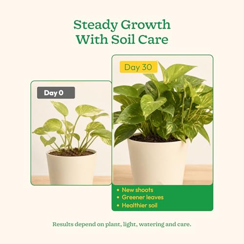 Image of Ugaoo Organic Vermicompost for Plants 10 Kg | Pure Earthworm Compost Manure Rich in NPK & Micronutrients | Natural Plant Food for Indoor, Outdoor Flowering & Home Garden | Sterilized and Odour-Free