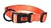 Hamilton 1-Inch Adjustable Dog Collar, Large, Fits 18-Inch by 26-Inch, Mango Orange