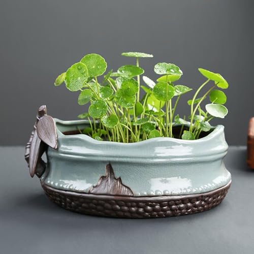 Jardinière pour nénuphars pot plantes hydroponiques céramique - 4