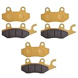 Compatible avec plusieurs modèles de scooters, dont LEONART Bobber 125 350 FMS 125 Matador 125 EFI SILENCE Electric S01 S02 S02LS pour une grande flexibilité d'utilisation.